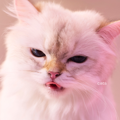 ダイヤモンド／My Hair is Bad