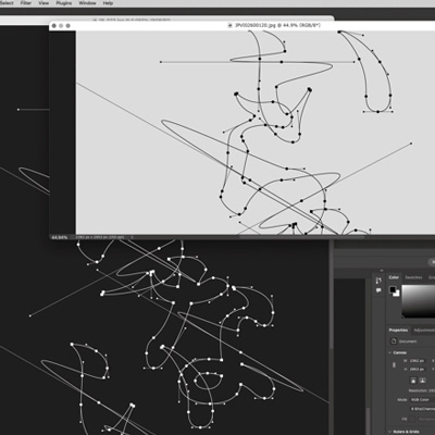 いらない／サカナクション