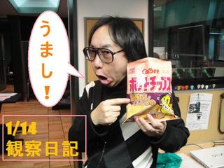 スタッふ〜の観察日記54【1/14】