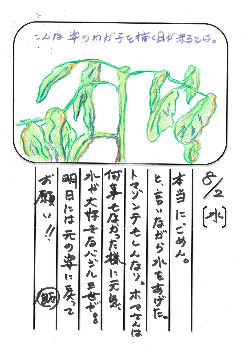◇ 飯室菜園日記 vol.15 ◇